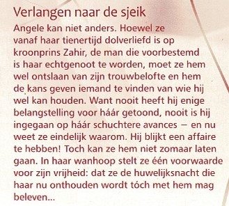 Bouquet 3340: Verlangen naar de sjeik / Lucy Monroe - Afbeelding 2