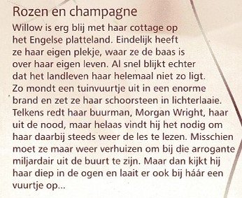 Bouquet 3359: Rozen en champagne / Helen Brooks - Afbeelding 2