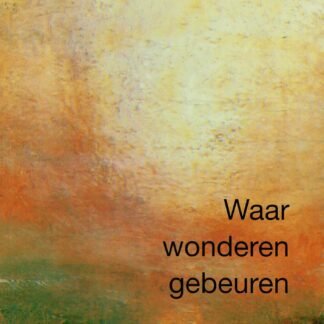 Waar wonderen gebeuren: Ontmoetingen met hemelse wezens / Joan Wester Anderson (zachte kaft)