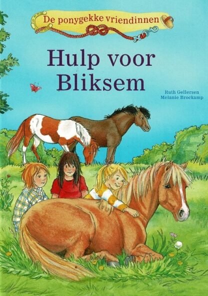 Hulp voor Bliksem / Ruth Gellersen (AVI E4 ; Harde kaft)
