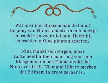 Hulp voor Bliksem / Ruth Gellersen (AVI E4 ; Harde kaft) - Afbeelding 2