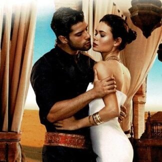 Bouquet 3933: In de armen van de sultan / Kate Hewitt