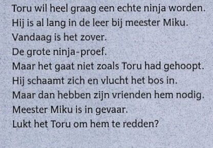 De grote ninja-proef / Henriette Wich (AVI E4 ; Harde kaft) - Afbeelding 2