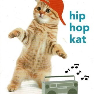 hip hop kat / Elisa van Spronsen (AVI Start ; Harde kaft)