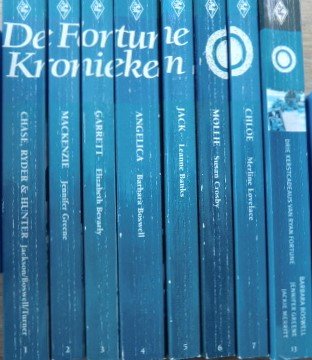 De Fortune Kronieken (8 boeken): 1: Chase, Ryder & Hunter - 2: Mackenzie - 3: Garrett - 4: Angelica - 5: Jack - 6: Mollie - 7: Cloe - 13: Drie kerstcadeaus van Ran Fortune - Afbeelding 2