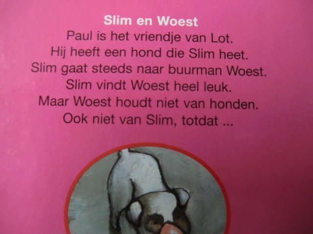 Slim en Woest / Anke de Vries (AVI E3 ; Harde kaft)