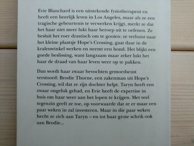 HQN Roman 66: Nieuw begin / RaeAnne Thayne