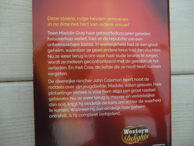 Intiem 2127: geheim van haar hart / Anna Major