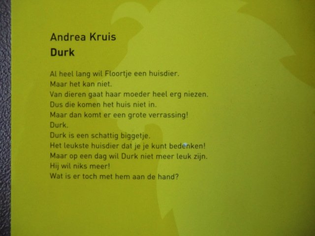 Durk / Andrea Kruis (leesleeuw AVI E4)