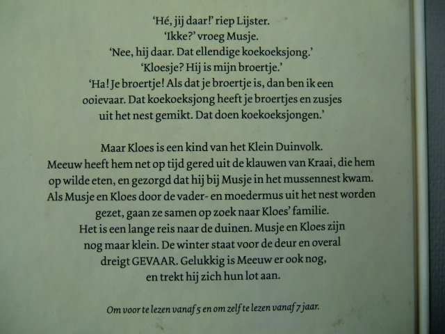 Musje, mijn zusje / Selma Noort / (AVI E5; Harde kaft)