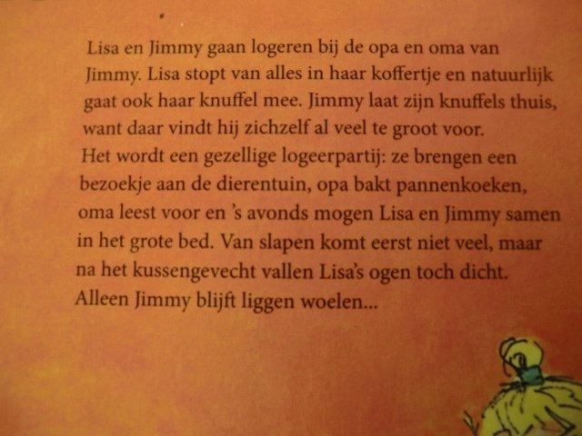 Logeren is een feest! / Vivian den Hollander (Voorleesboek; Harde kaft)