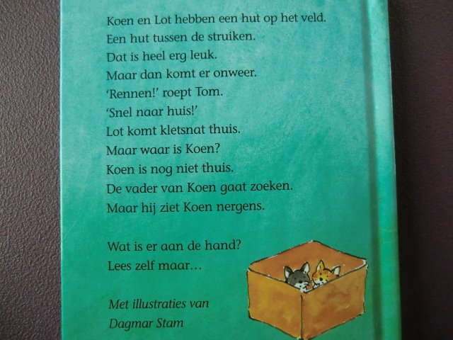 Koen en Lot: De hut op het veld / Marianne Busser (AVI M4 ; harde kaft)