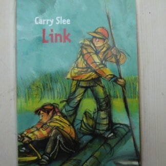 Link (Het bliksemeiland / Vervalst) / Carry Slee (AVI M7 ; zachte kaft)