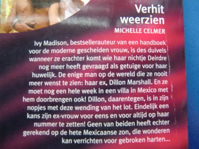 Intiem 1664: Verhit weerzien / Michelle Celmer
