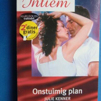 Intiem 1187: Onstuimig plan / Julie Kenner
