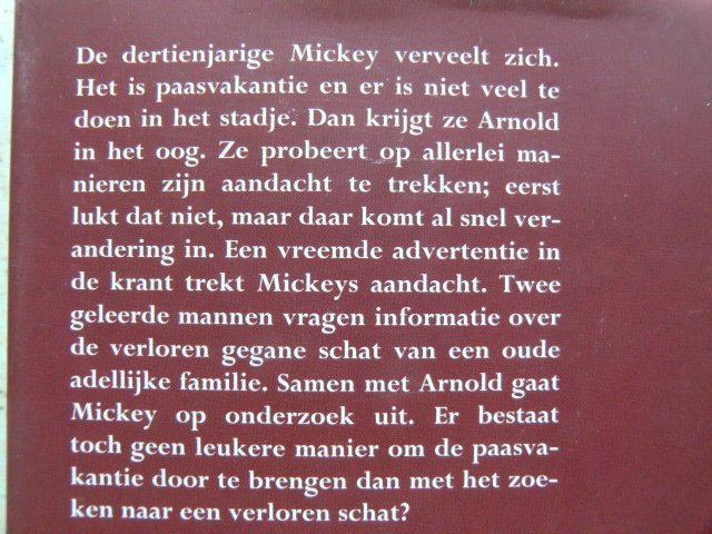 De verloren schat / Thea Beckman (AVI 9; Harde kaft)