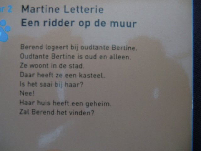 Een ridder op de muur / Martine Letterie (Leesleeuw AVI E4)