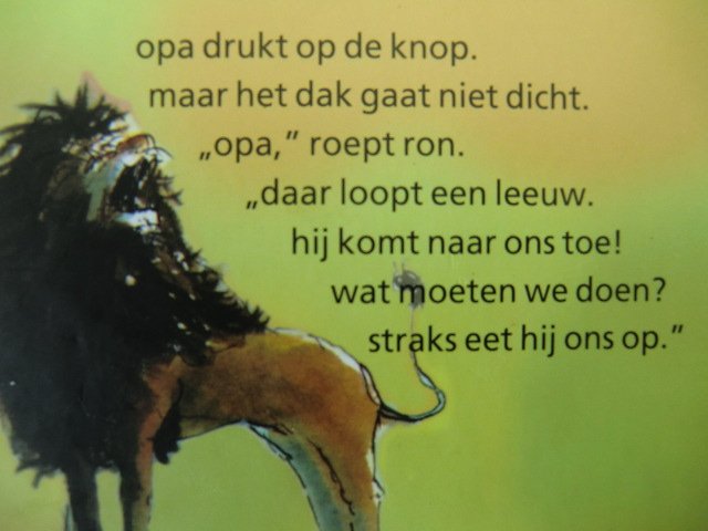 de leeuw / Susanne Blesius (AVI M3; harde kaft)