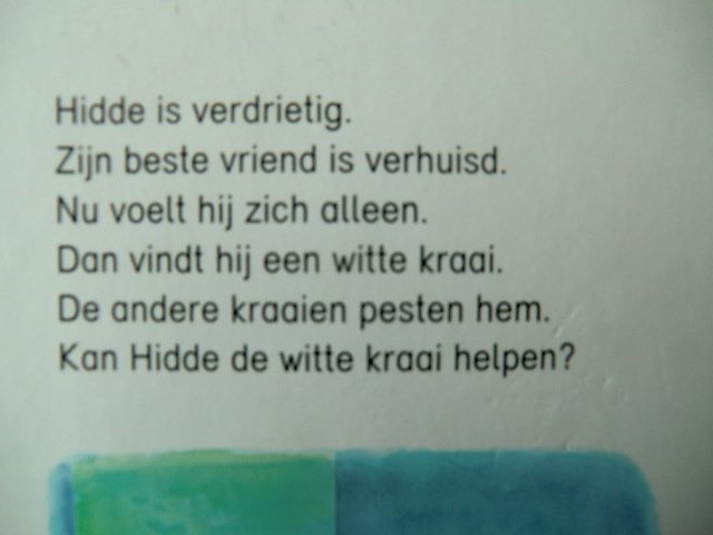 Hidde en de witte kraai / Géwout Esselink (AVI 4 ; Harde kaft)