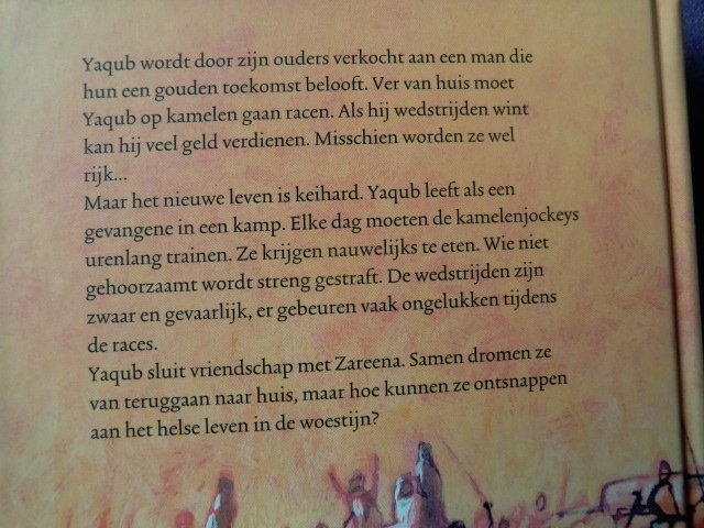 Verkocht / Hans Hagen (AVI 9; Harde kaft)