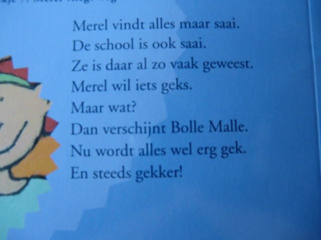 Merel vliegt weg / Corrie Hafkamp ( AVI M4 ; Leesleeuw ; zachte kaft )