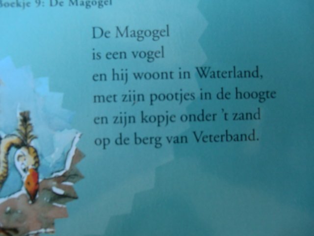 De Magogel / Diet Huber ( Leesleeuw ; AVI 6 ; zachte kaft )