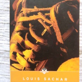 Gaten / Louis Sachar (Paperback)