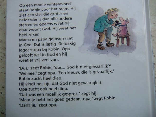 Robin en God / Sjoerd Kuyper (Harde kaft)