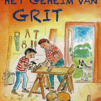 Het geheim van Grit / Lianne Biemond (AVI E3 ; harde kaft)