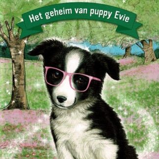 De magische dierenvriendjes: Het geheim van puppy Evie / Daisy Meadows (AVI E4 - M5 ; Harde kaft)