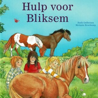 Hulp voor Bliksem / Ruth Gellersen (AVI E4 ; Harde kaft)