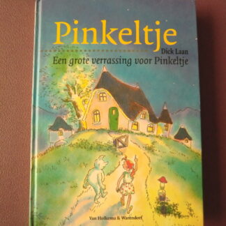 Een grote verrassing voor Pinkeltje / Dick Laan (AVI E5, harde kaft)