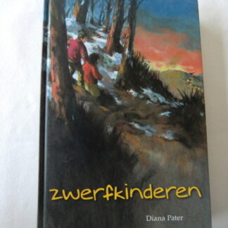 Zwerfkinderen / Diana Pater (harde kaft)