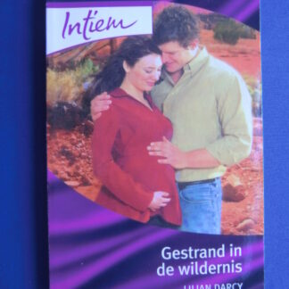 Intiem 1611: Gestrand in de wildernis / Lilian Darcy