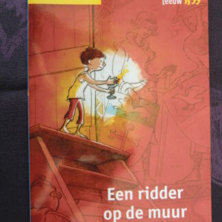 Een ridder op de muur / Martine Letterie (Leesleeuw AVI E4)