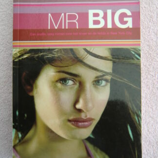 Mr Big / Olivia Goldsmith (Paperback)