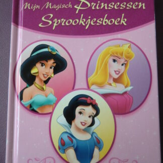 Mijn magisch prinsessen sprookjesboek (Harde kaft)