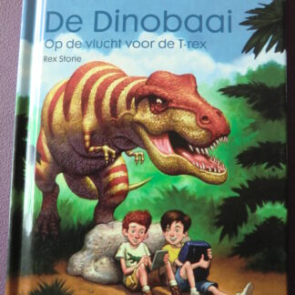 De Dinobaai: Op de vlucht voor de T-rex / Rex Stone (AVI E5; Harde kaft)