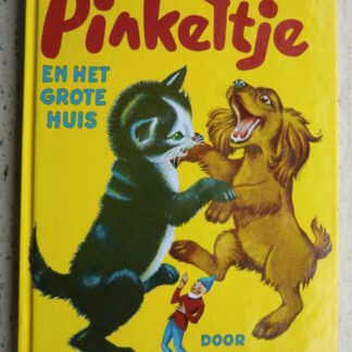 Pinkeltje en het grote huis / Dick Laan (AVI 5 ; harde kaft)