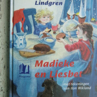 Madieke en Liesbet / Astrid Lindgren (AVI 9 ; Harde kaft)