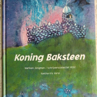 Koning Baksteen / Mariken Jongman (Prentenboek; Harde kaft)